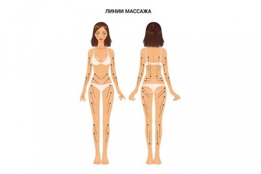 Линии массажа сухой щеткой